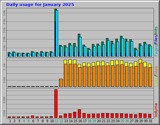 Daily usage for January 2025